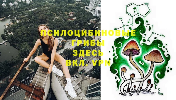 меф Белокуриха