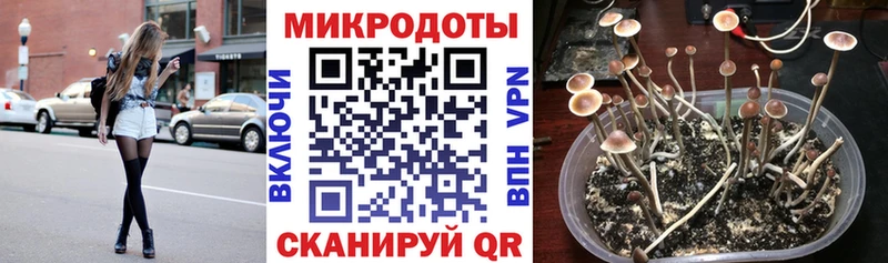 Галлюциногенные грибы Magic Shrooms  купить закладку  Волхов 